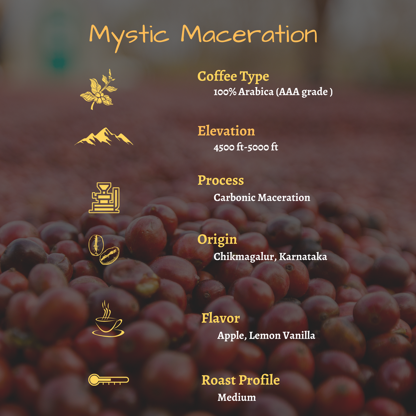 Mystic Maceration